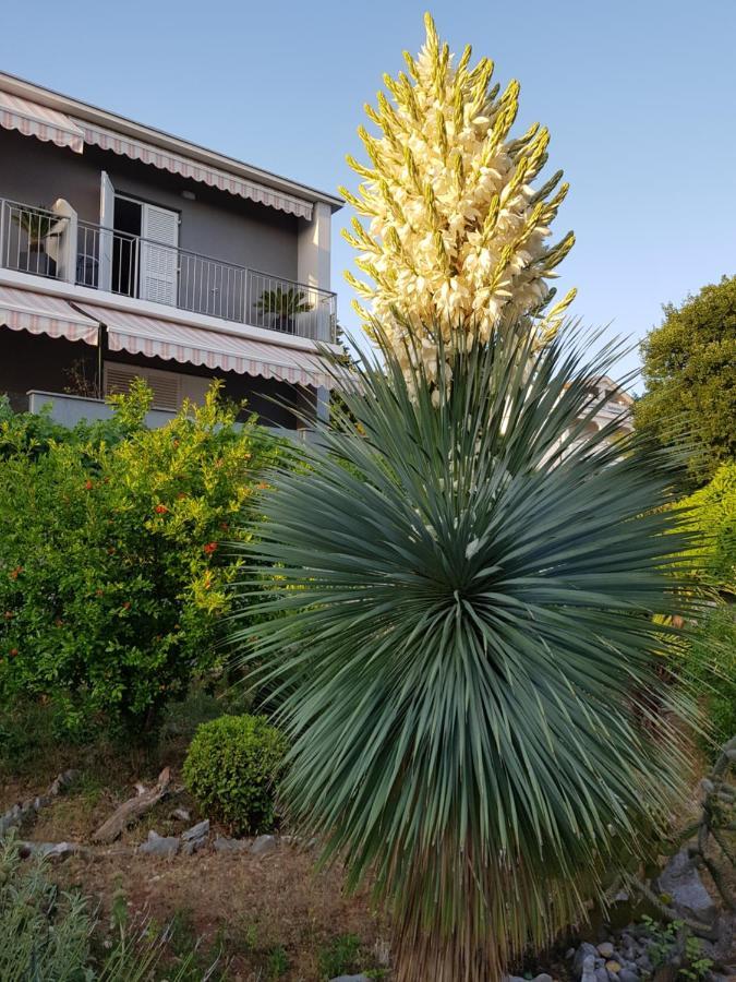 House Diana Hotel Dramalj Exterior foto